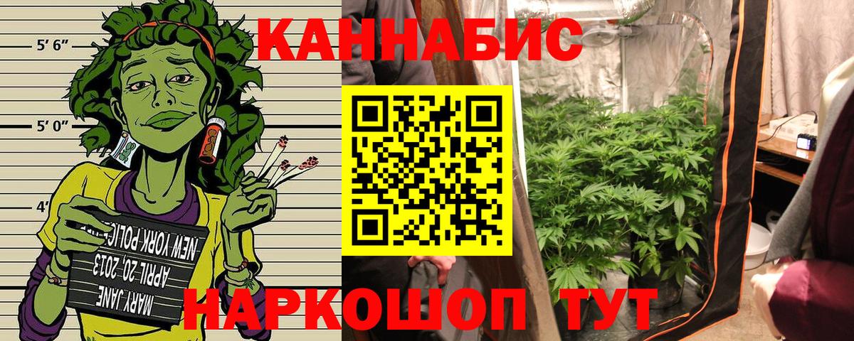 Бошки марихуана ГИДРОПОН  Вход с VPN  Лесосибирск  Шишки марихуана SATIVA & INDICA 